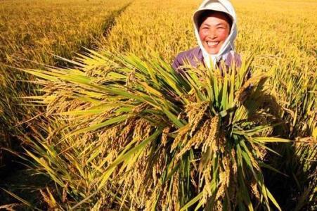 u=698472335,3780131424&fm=23&gp=0 u=698472335,3780131424&fm=23&gp=0