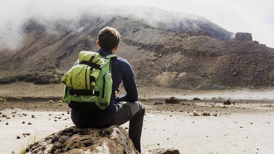 英媒:外国游客过多涌入让新西兰道路状况陷入混乱