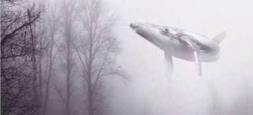 蓝鲸死亡游戏创始人认罪 称受害者都是垃圾，需要被清除