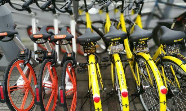 20170310104312295 20170310104312295