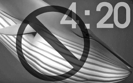 W020170511506052822916 W020170511506052822916