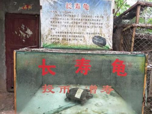 海口动物园成炼狱