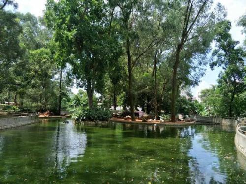 海口动物园成炼狱