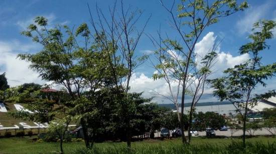 菲民众对杜特尔特咋评价?有人把和总统合照挂满墙