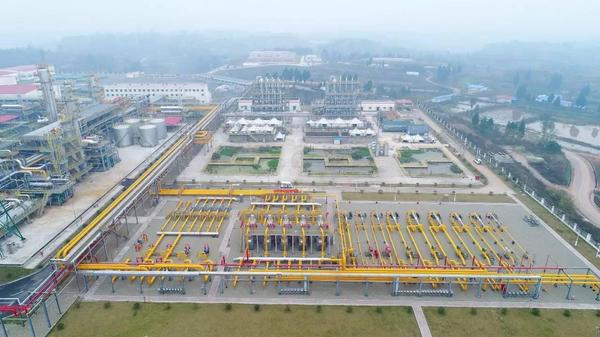 W020170512300523637675 W020170512300523637675