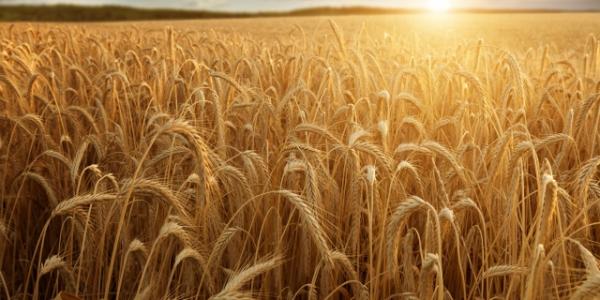 u=2590837650,1902413227&fm=23&gp=0 u=2590837650,1902413227&fm=23&gp=0