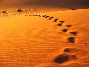 u=1882942436,2774803733&fm=72 u=1882942436,2774803733&fm=72