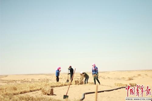 男子沙漠种树14年:希望将环保的种子种进更多人心里