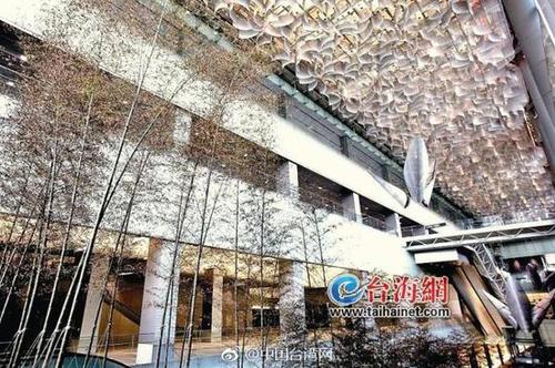 台湾花6亿造的竹林瀑布枯了 网友:台湾人真好骗