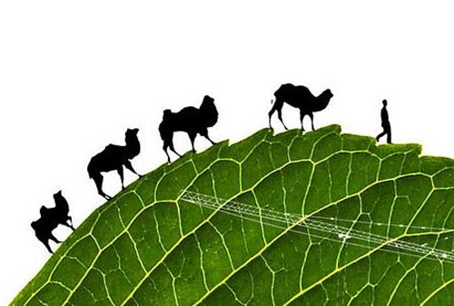 636076293896915270328 636076293896915270328