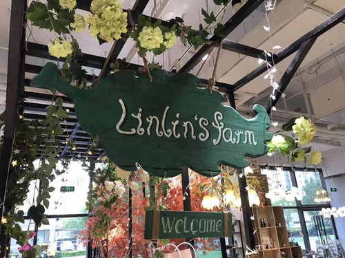 把田园与爱带进都市 多肉+美食亲子DIY献礼母亲节