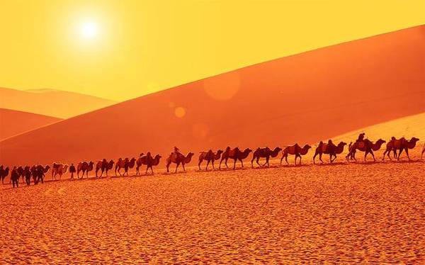 f7682c5c-8b88-42b7-a7e1-67149c8b9ee9 f7682c5c-8b88-42b7-a7e1-67149c8b9ee9