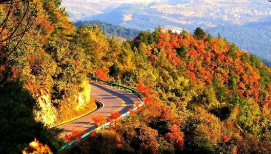 u=3695637828,641847400&fm=23&gp=0 u=3695637828,641847400&fm=23&gp=0