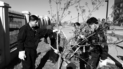 W020170516522600785861 W020170516522600785861