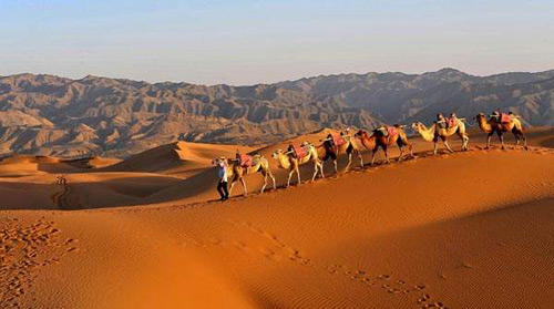 W020170509698727842078 W020170509698727842078