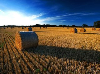 t015e30ba1da885a7cd t015e30ba1da885a7cd