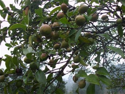 u=3998344104,888944115&fm=23&gp=0 u=3998344104,888944115&fm=23&gp=0