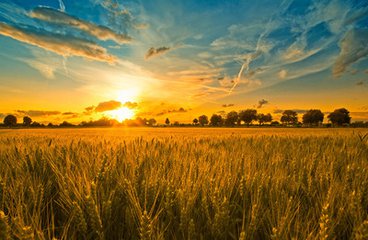 t01b3eea77da0a16d0c t01b3eea77da0a16d0c