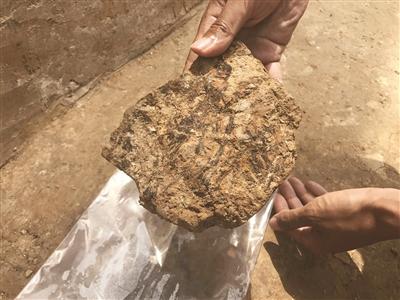 剖面鱼鳞状结构显示这是“草包泥” 点击进入下一页