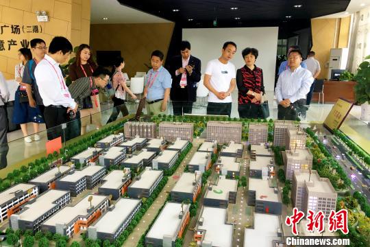 侨商在安徽省肥西县考察交流，寻找合作机遇?！≌徘?摄