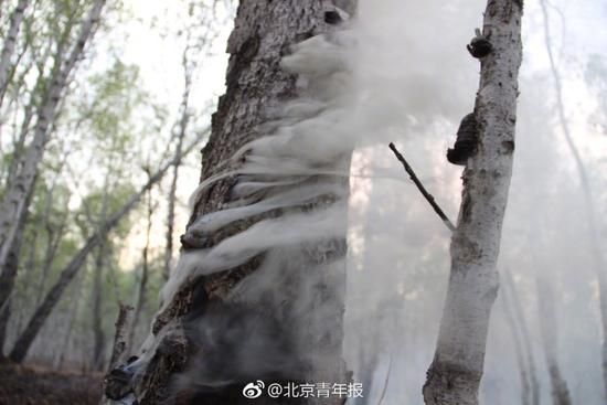 内蒙古那吉林场森林火灾明火已扑灭 清理工作展开