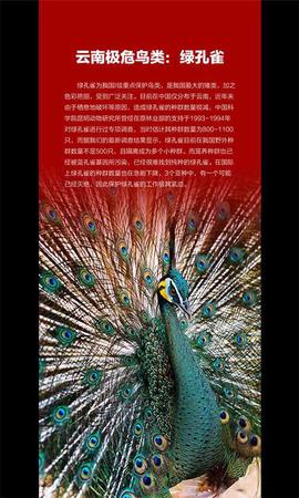 云南发首个省级物种红色名录 2625种生存受威胁