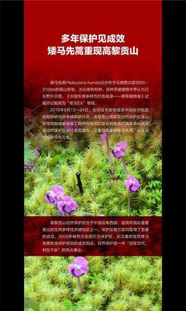 云南发首个省级物种红色名录 2625种生存受威胁