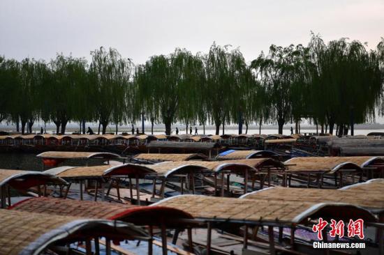 4月16日，雄安新区白洋淀，密密麻麻的手摇游船。<a target='_blank' href='http://www.chinanews.com/'>中新社</a>记者 翟羽佳 摄