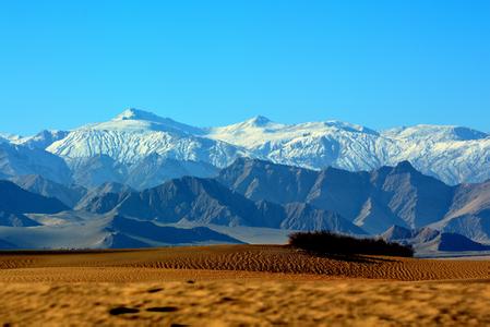 u=297785537,809548940&fm=23&gp=0 u=297785537,809548940&fm=23&gp=0