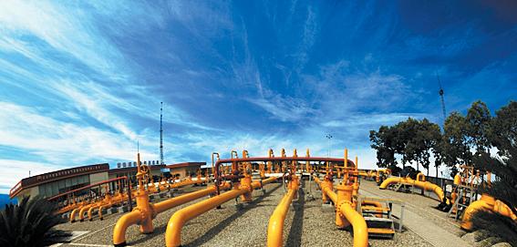 u=215322295,2227145607&fm=23&gp=0 u=215322295,2227145607&fm=23&gp=0