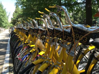 u=3662162387,51679092&fm=23&gp=0 u=3662162387,51679092&fm=23&gp=0