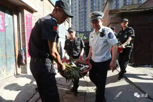 揭秘黑作坊粽子:豆沙长满白毛 馅里还有小肉虫