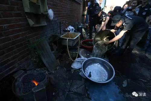 揭秘黑作坊粽子:豆沙长满白毛 馅里还有小肉虫