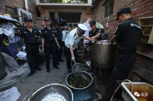 揭秘黑作坊粽子:豆沙长满白毛 馅里还有小肉虫