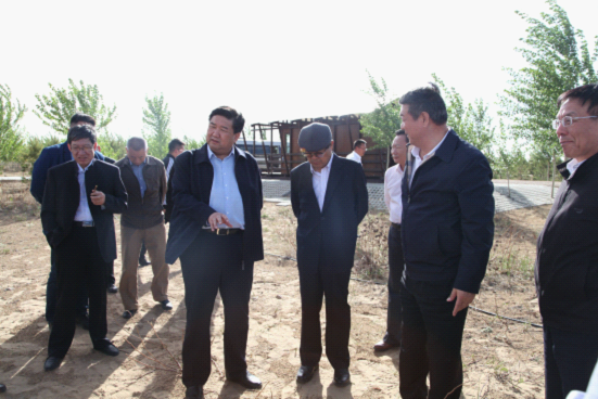 W020170523358260938775 W020170523358260938775