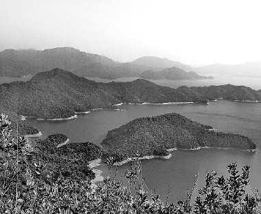 C2017-05-25zx701_P_1_260_1112_856_1600 C2017-05-25zx701_P_1_260_1112_856_1600