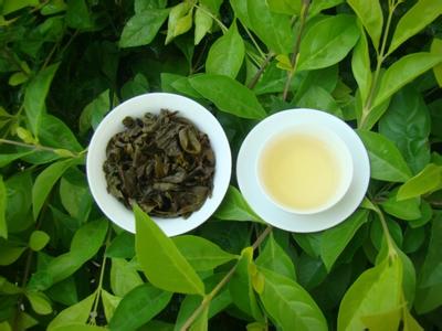 u=2202549822,1571632294&fm=23&gp=0 u=2202549822,1571632294&fm=23&gp=0