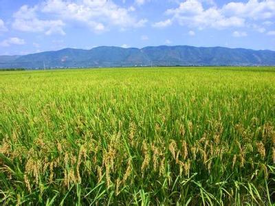 u=2739302158,3178369782&fm=23&gp=0 u=2739302158,3178369782&fm=23&gp=0