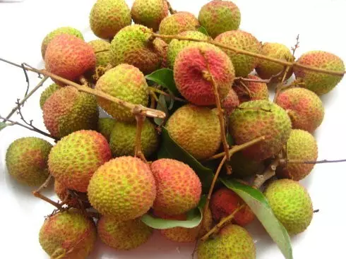 水果贩怎么总拿瓶子给荔枝喷水?记者探访得真相