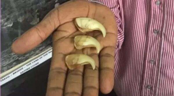 中国修建的非洲世纪铁路今通车 曾遭质疑修不好