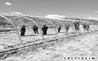 正在建设中的蔬菜大棚 正在建设中的蔬菜大棚