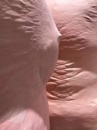 毕业展作品被盗皮皮虾也遭殃 学生贴26个勿触碰