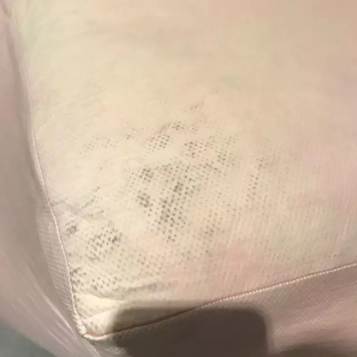 毕业展作品被盗皮皮虾也遭殃 学生贴26个勿触碰