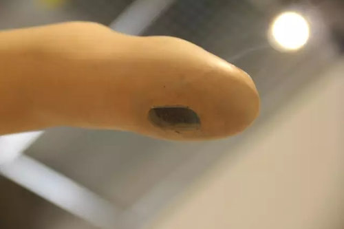 毕业展作品被盗皮皮虾也遭殃 学生贴26个勿触碰