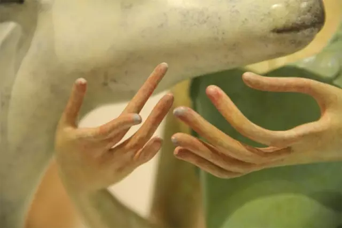 毕业展作品被盗皮皮虾也遭殃 学生贴26个勿触碰