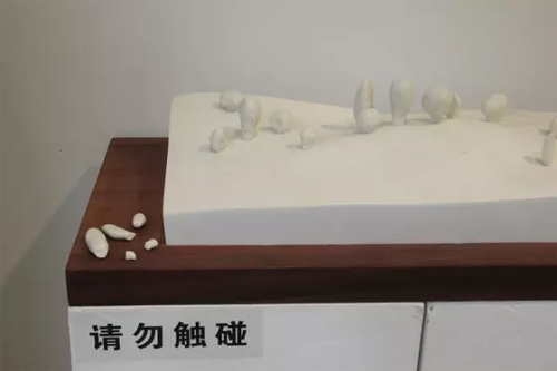 毕业展作品被盗皮皮虾也遭殃 学生贴26个勿触碰
