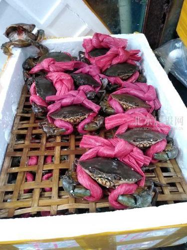 蟹“困”吸水绳 虾“忙”成网红 探访虾蟹市场 蟹“困”吸水绳 虾“忙”成网红 探访虾蟹市场