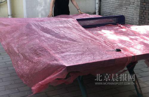 蟹“困”吸水绳 虾“忙”成网红 探访虾蟹市场 蟹“困”吸水绳 虾“忙”成网红 探访虾蟹市场