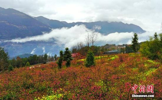 点击进入下一页