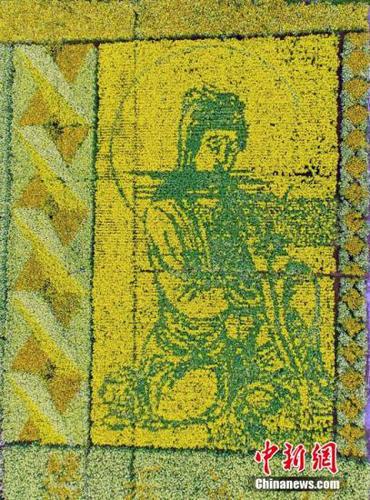 资料图：四川什邡市皂角农科园60余亩“试验田”里培育的彩色油菜花次第开放，吸引了来自四面八方的农业游客目光。刘忠俊 摄